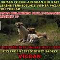 Bizim Çocuklar Sokaktaki Canlar | 13