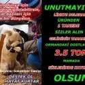 Bizim Çocuklar Sokaktaki Canlar | 15