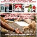 Bizim Çocuklar Sokaktaki Canlar | 8