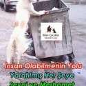 Bizim Çocuklar Sokaktaki Canlar | 2