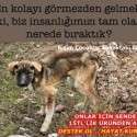Bizim Çocuklar Sokaktaki Canlar | 4