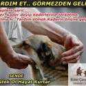 Bizim Çocuklar Sokaktaki Canlar | 6