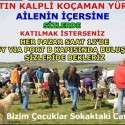 Bizim Çocuklar Sokaktaki Canlar | 11