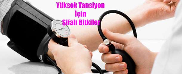 Yüksek Tansiyon İçin Şifalı Bitkiler