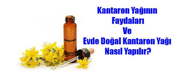 Kantaron Yağının Cilde Faydaları