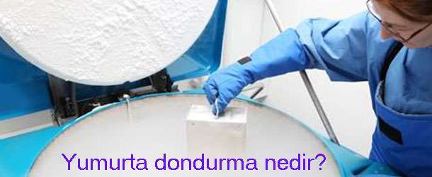 Yumurta dondurma nedir?