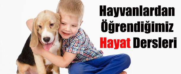 Hayvanlardan Öğrendiğimiz Hayat Dersleri