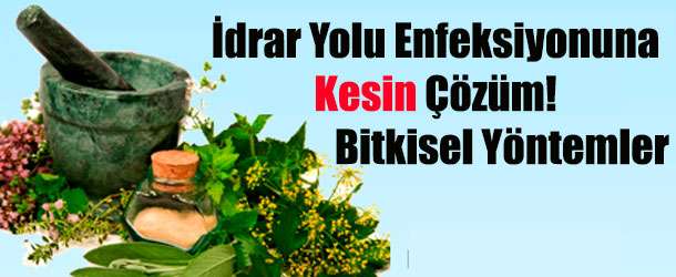 İdrar Yolu Enfeksiyonu Bitkisel Tedavi İçin 8 Doğal Reçete