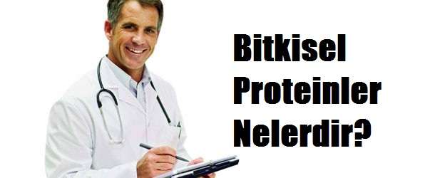 En Önemli Protein İçeren Besinler