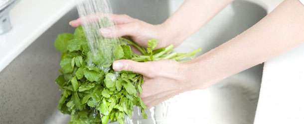 Yeşillikler, Salata Nasıl Yıkanır?