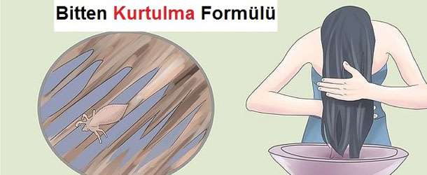Bitten Kurtulma Yöntemi | 1