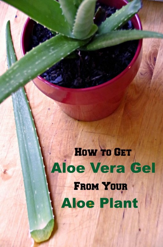 Aloe Vera Sac Cikarici Maske Tarifi