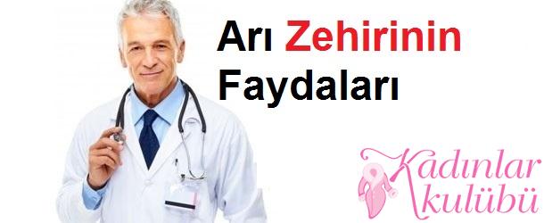 Arı Zehirinin Faydaları, Sağlığa Olumlu Etkileri | 1