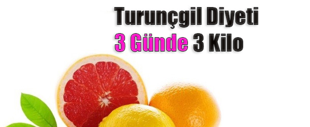 Narenciye (Turunçgil) İle 6 Diyet Listesi Örneği