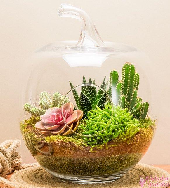 terrarium_yapimi_icin_en_guzel_30_ornek-1.jpg