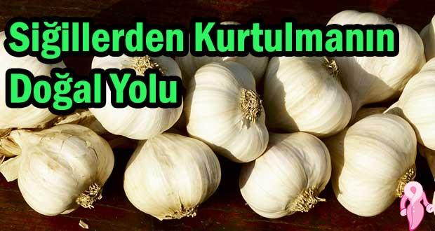 Siğillerden Kurtulmanın Doğal Yolu