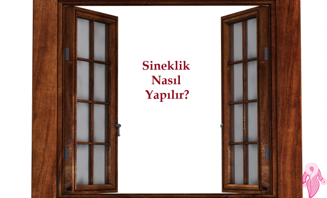 Sineklik Nasıl Yapılır?