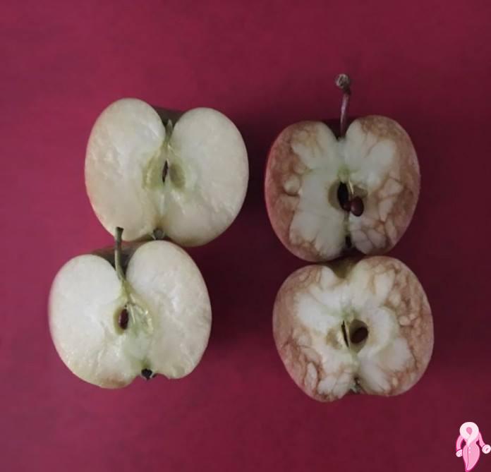 Zorbalık Hakkındaki Korkunç Gerçekliği Anlatmak İçin Elmaları Kullanan Öğretmen