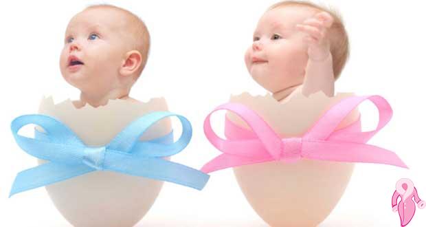 A 'dan z 'ye tüp bebek