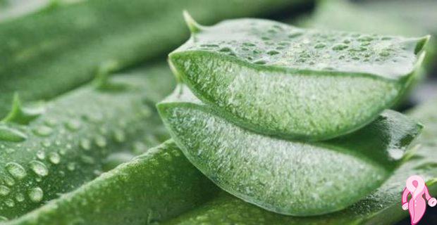 Aloe Vera mucizesini keşfettiniz mi 42