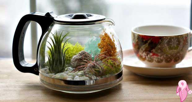 Çaydanlık terrarium yapılışı…