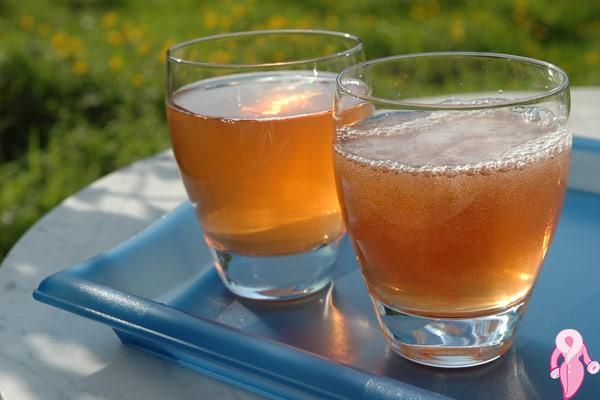 Kombucha Çayı Zayıflatır Mı?