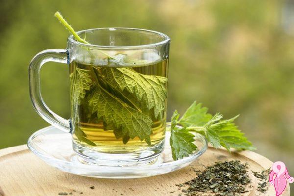 Bitkisel Çaylar ile Zayıflama | 1