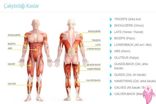 Squash Nedir? Squash İle Sağlıklı Zayıflama | 2