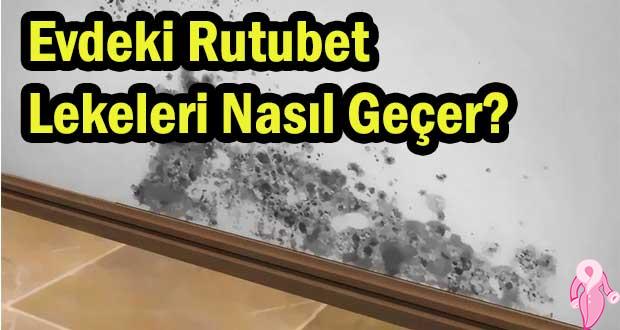 Evdeki Rutubet Lekeleri Nasıl Geçer? Duvar Küfü Nasıl Engellenir?