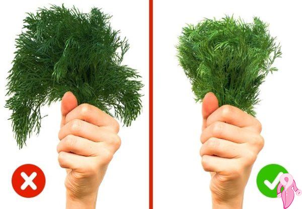 Gıdaların Sağlıklı ve Taze Olduğunu Anlamanın Yolları | 18