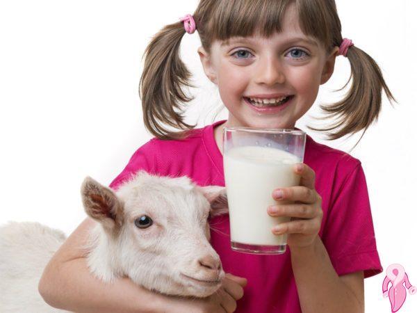 Bebeğe Keçi Sütü Verilir Mi? | 2