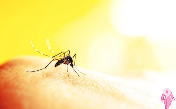 Sivrisinekler Neden Bazı İnsanları Daha Fazla Isırır?
