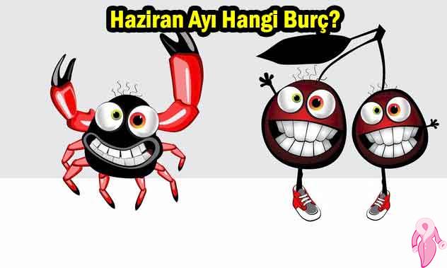 Haziran Ayı Hangi Burç? İkizler Burcu Mu Yengeç Burcu Mu? | 1