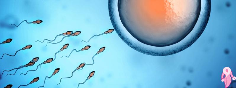 Hiç Spermi Olmayan Erkek Baba Olabilir mi?
