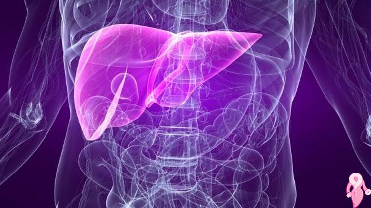 Grade 1 Hepatosteatoz Nedenleri, Belirtileri Ve Tedavi Yöntemleri | 1