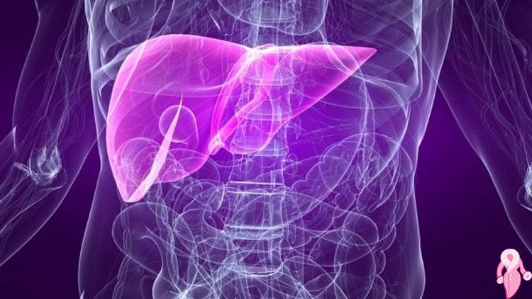 Grade 1 Hepatosteatoz Nedenleri, Belirtileri Ve Tedavi Yöntemleri