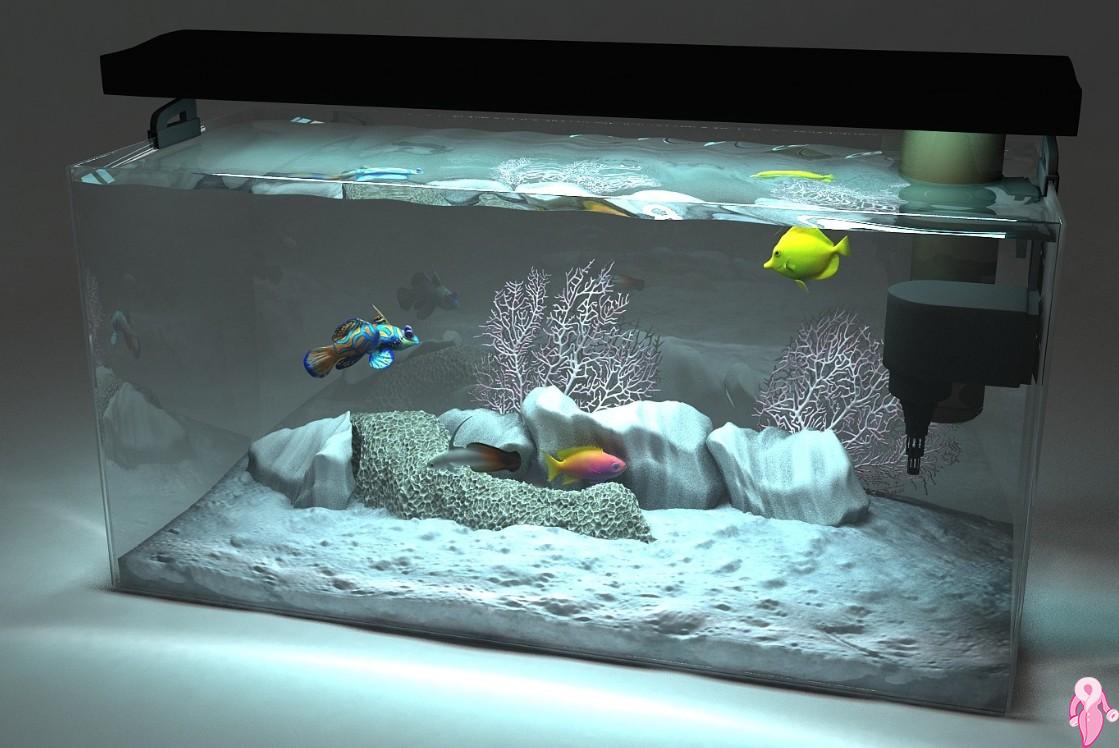 Rengarenk Balıklarla Enerjik Dekorasyon Örnekleri