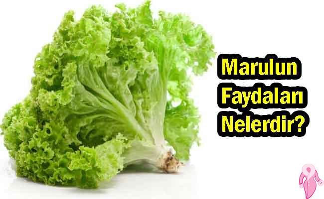 Marulun Faydaları Nelerdir? Neye İyi Gelir? | 1