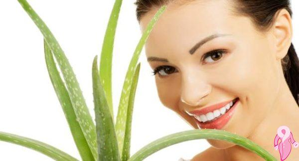 Aloe Vera Cilt Bakımı Nasıl Yapılır? Aloe Veranın Cilde Faydaları Nelerdir? | 2