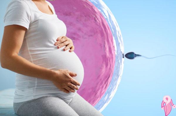 Tüp Bebek Nedir? Tüp Bebek Tedavisi Nasıl Yapılır? | 2