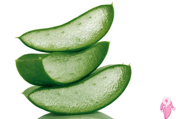 Aloe Vera Cilt Lekelerine İyi Gelir Mi? | 2