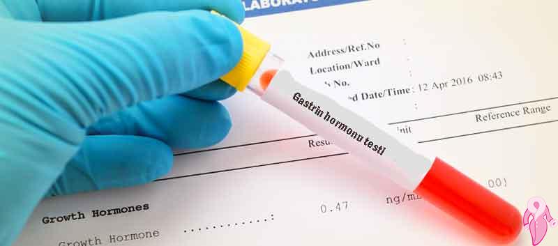 Gastrin Nedir, Gastrin Hormonu Yüksekliği Düşüklüğü Ve Normal Değerleri | 1