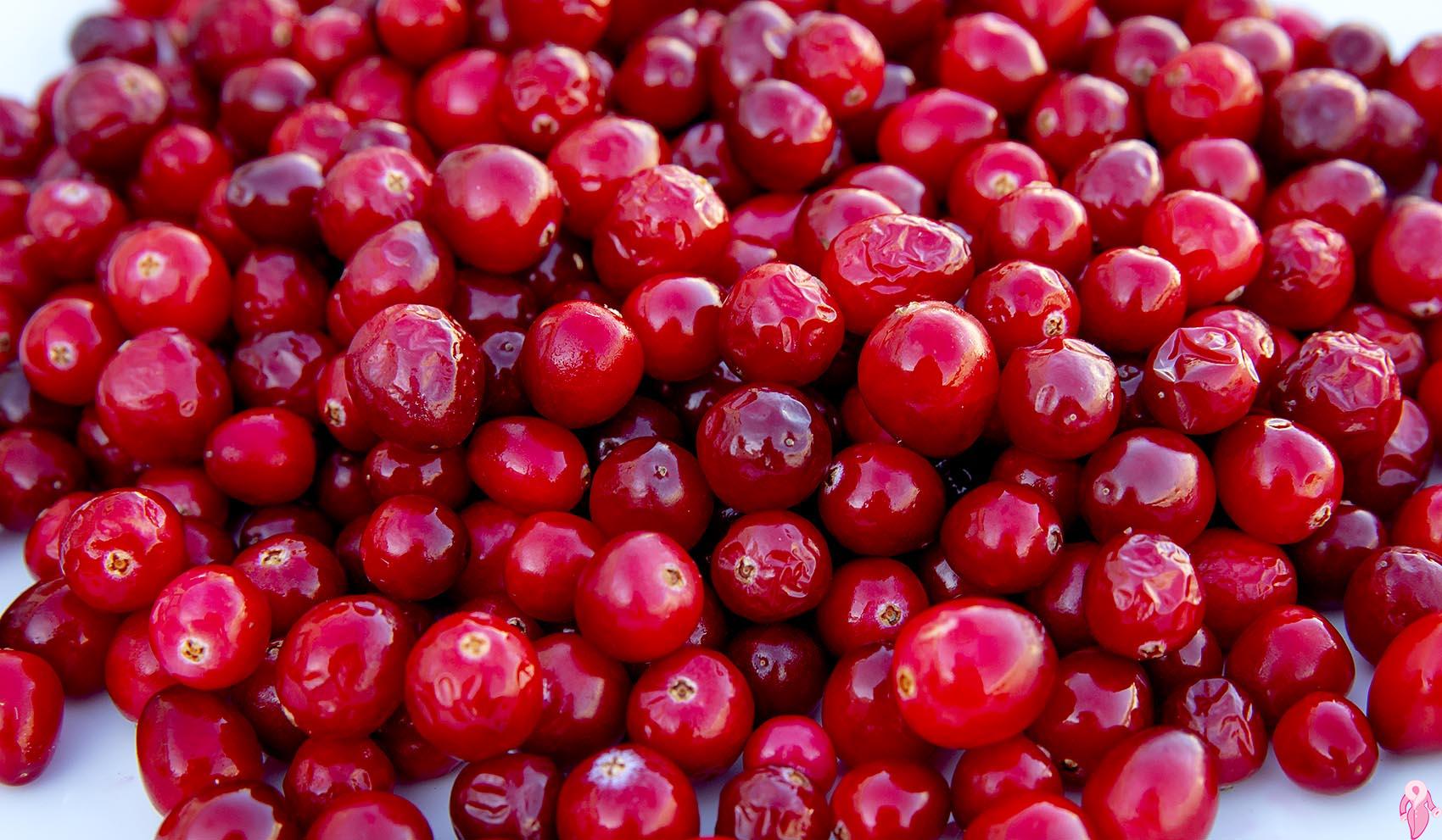 Cranberry Faydaları (Turna Yemişi) Nelerdir, Neye İyi Gelir?