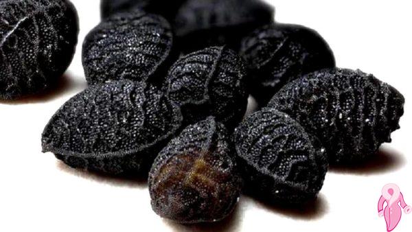 Çörek Otu Faydaları Nelerdir, Neye İyi Gelir?