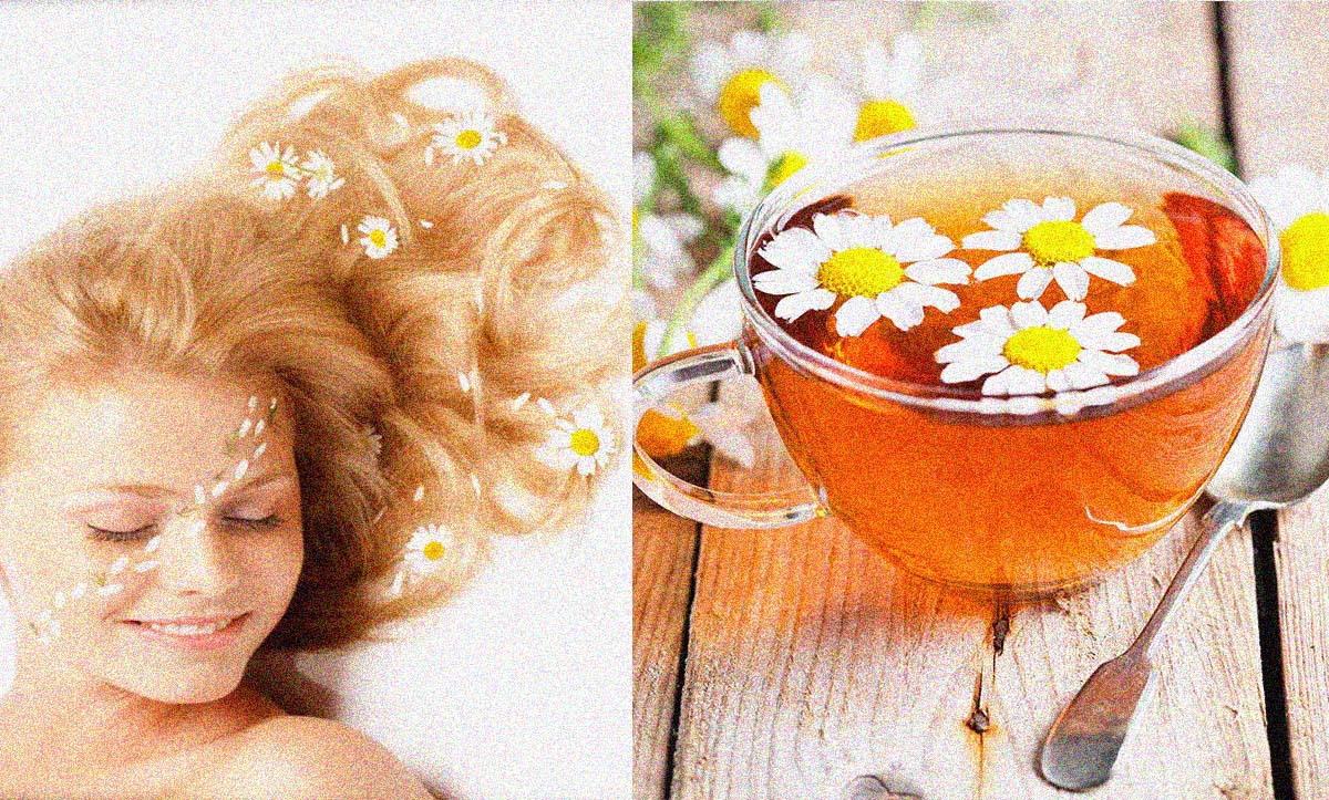 Evde Papatya Çayı İle Saç Açma Yöntemi Kadınlar Kulübü