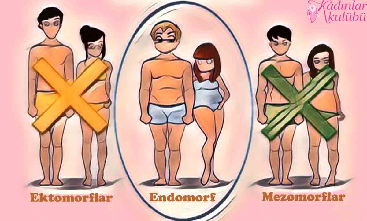 Endomorf Diyeti Nedir? Mezomorflar, Ektomorflar Hakkında Bilmeniz Gereken 3 Şey