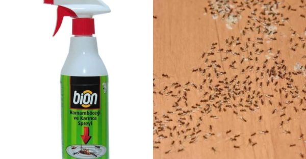 bion karınca kovucu sprey