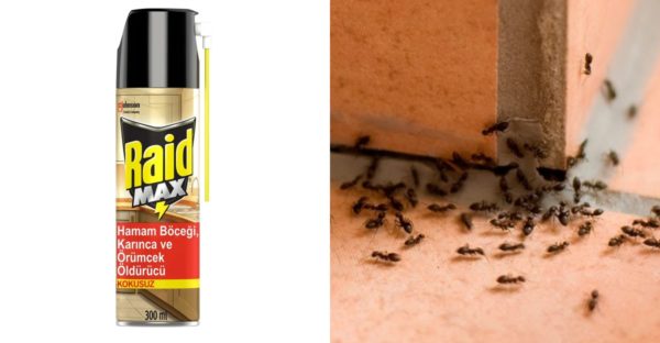 kokusuz karınca kovucu sprey ilacı