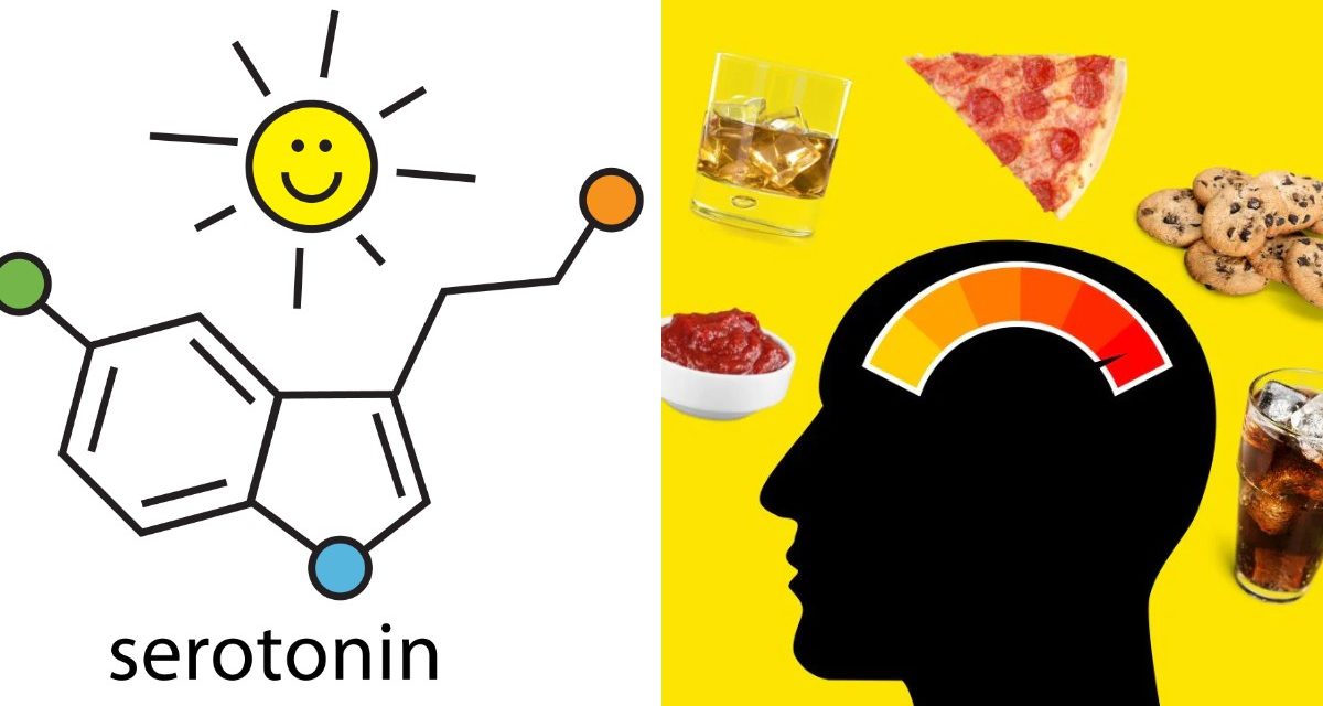 Vücudumuzdaki Serotonin Seviyesini Düşüren Yiyecekler