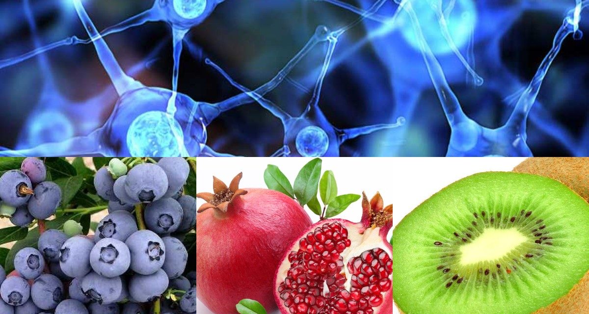 Sinir Yenilenmesi İçin En İyi 5 Sağlıklı Meyve